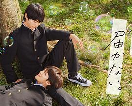 韩国朋友之间海报剧照