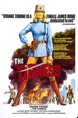 外国女主叫艾玛海报剧照