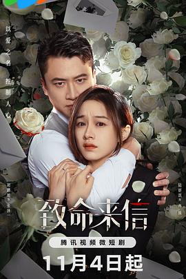 HEYZO综合无码国产精品四季海报剧照